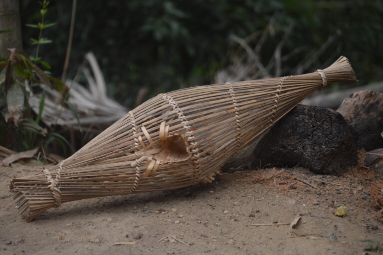 মাজ ধরণি