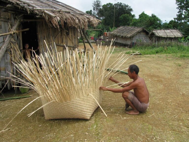 ঘরের সামনে বুনন
