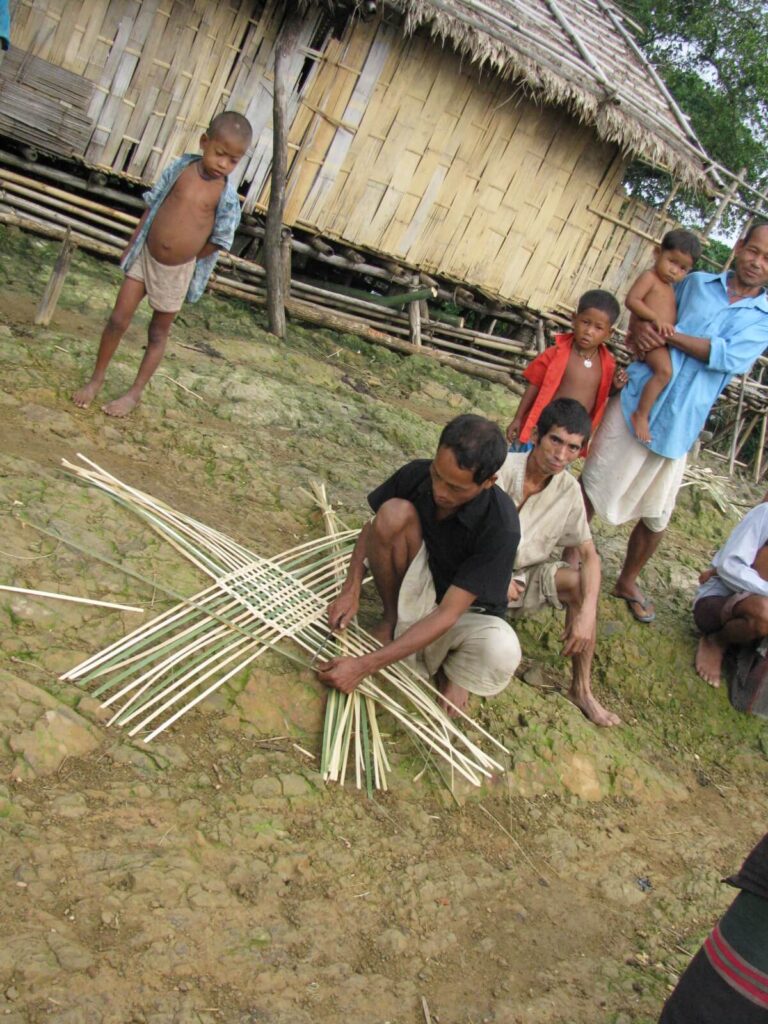 ঘাসের উপর বাঁশের ফালি