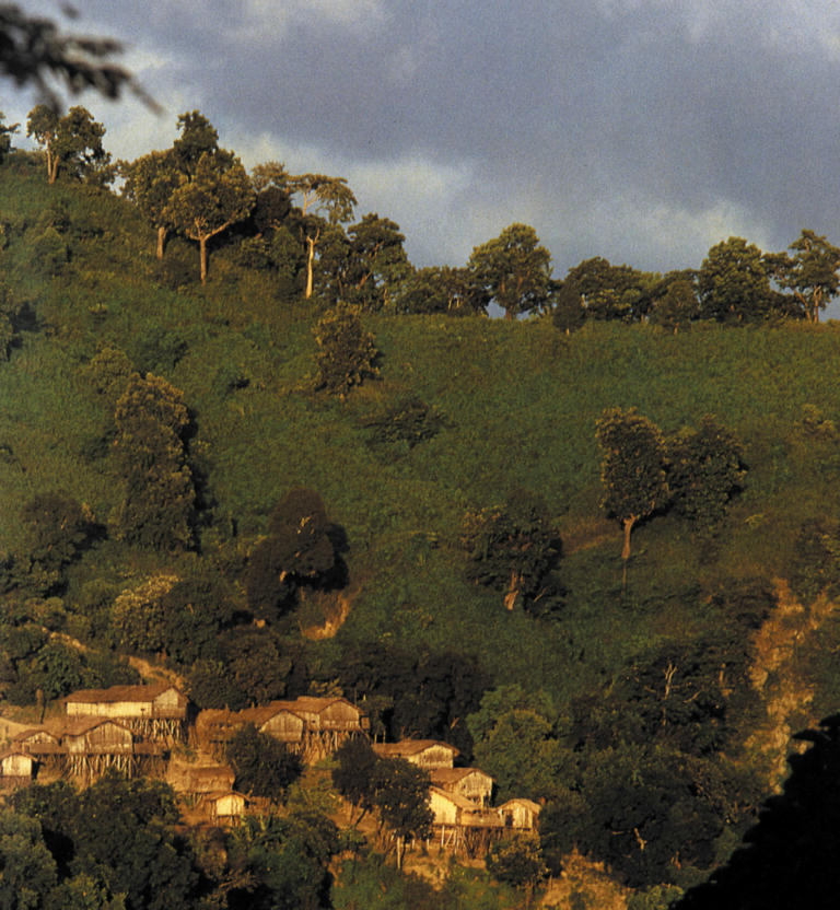 সন্ধ্যায় মেনিয়ং-পাড়া