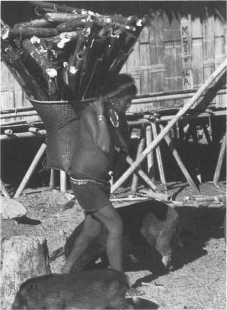 রোজকার জ্বালানি